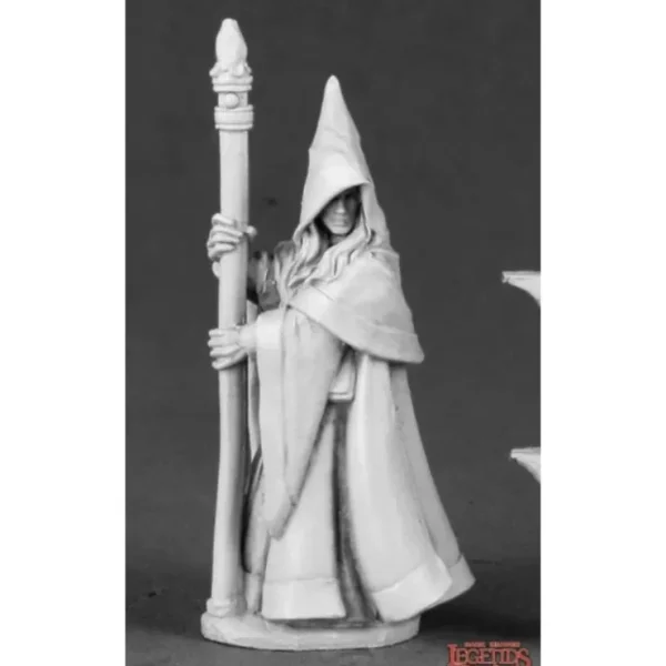 Sale Anirion, Wood Elf Wizard: Dark Heaven Legends RPR 03491 - Miniature Marvels: Airplane Models & Painted Dice Miniature