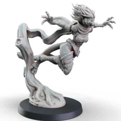 Assassin - Miniature Marvels: Airplane Models & Painted Dice* Miniature