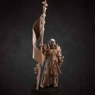 Battle Sister Banner Holder - Miniature Marvels: Airplane Models & Painted Dice* Miniature
