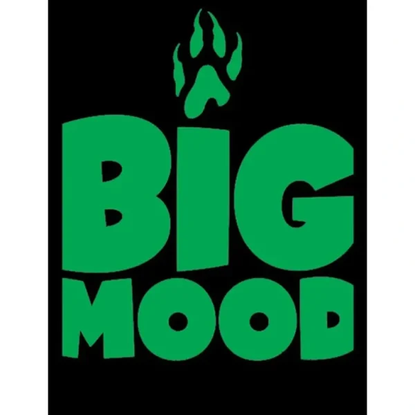 Big Mood Sleeves LGN MAT110 - Miniature Marvels: Airplane Models & Painted Dice* Shop All