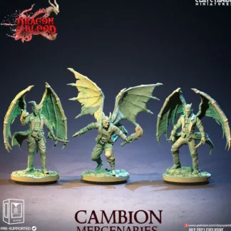 Cheap Cambion Mercenaries Bundle - Miniature Marvels: Airplane Models & Painted Dice Miniature