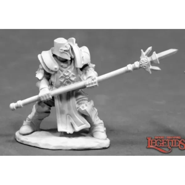 Outlet Crusader Defender (Spear): Dark Heaven Legends RPR 03832 - Miniature Marvels: Airplane Models & Painted Dice Miniature