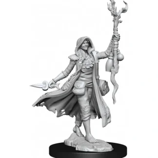 Sale D&D Frameworks: W01 - Human Druid Female WZK 75012 - Miniature Marvels: Airplane Models & Painted Dice Miniature