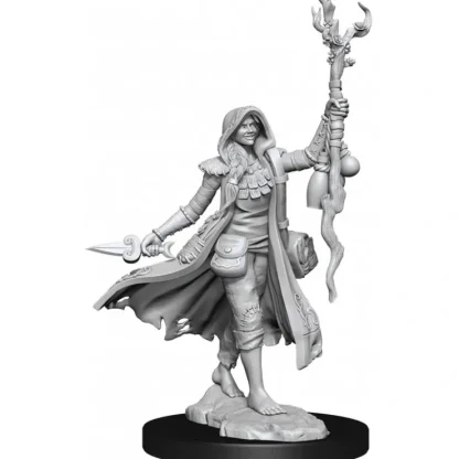 Sale D&D Frameworks: W01 - Human Druid Female WZK 75012 - Miniature Marvels: Airplane Models & Painted Dice Miniature