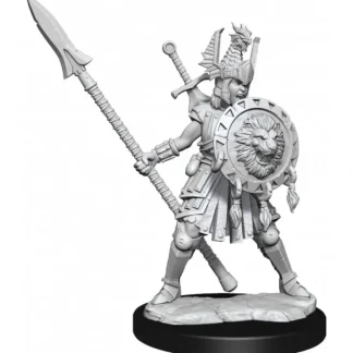 New D&D Frameworks: W01 - Human Fighter Female WZK 75025 - Miniature Marvels: Airplane Models & Painted Dice Miniature