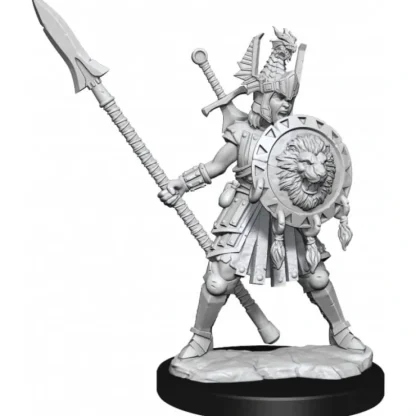 New D&D Frameworks: W01 - Human Fighter Female WZK 75025 - Miniature Marvels: Airplane Models & Painted Dice Miniature