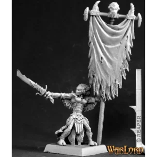 Discount Darkspawn Standard Bearer: Warlord RPR 14530 - Miniature Marvels: Airplane Models & Painted Dice Miniature