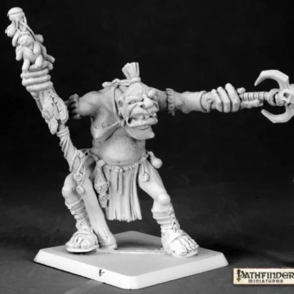 Online Dorella Kreeg, Ogre Shaman: Pathfinder RPR 60027 - Miniature Marvels: Airplane Models & Painted Dice Miniature