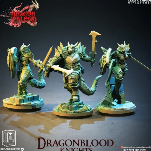 Best Dragonblood Knights Bundle - Miniature Marvels: Airplane Models & Painted Dice Miniature