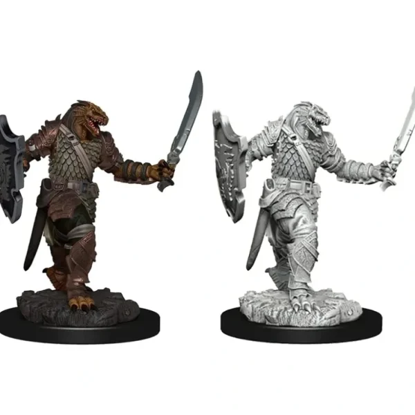 Best Dragonborn Female Paladin: Premium Figures - D&D Icons of the Realms WZK 93006 - Miniature Marvels: Airplane Models & Painted Dice Miniature