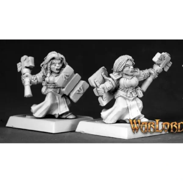 Cheap Dwarf Valkyries (9): Warlord RPR 06211 - Miniature Marvels: Airplane Models & Painted Dice Miniature