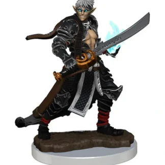New Elf Magus Male : Pathfinder Battles WZK 77517 - Miniature Marvels: Airplane Models & Painted Dice Miniature