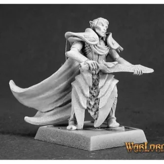 Shop Ellithin Graysteel, Royal Elf Hero: Warlord RPR 14468 - Miniature Marvels: Airplane Models & Painted Dice Miniature