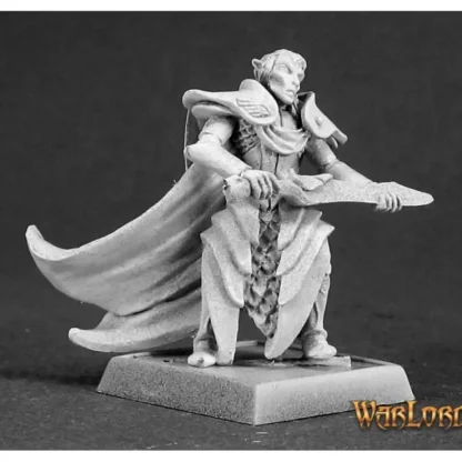 Shop Ellithin Graysteel, Royal Elf Hero: Warlord RPR 14468 - Miniature Marvels: Airplane Models & Painted Dice Miniature