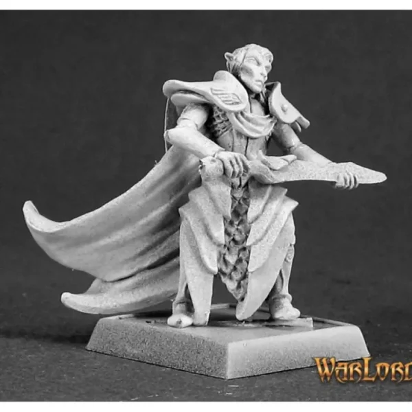 Shop Ellithin Graysteel, Royal Elf Hero: Warlord RPR 14468 - Miniature Marvels: Airplane Models & Painted Dice Miniature