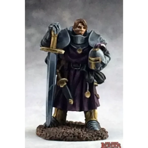 Cheap Erick, Paladin Initiate: Dark Heaven Legends RPR 03715 - Miniature Marvels: Airplane Models & Painted Dice Miniature