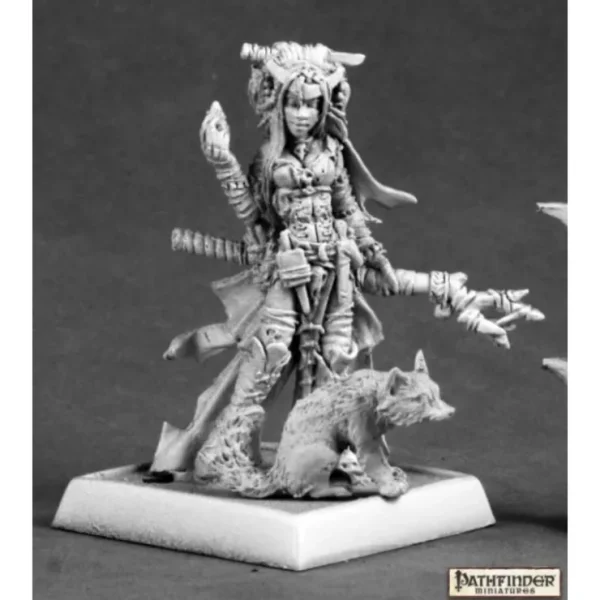 Cheap Feiya, Iconic Witch & Fox Familiar: Pathfinder RPR 60048 - Miniature Marvels: Airplane Models & Painted Dice Miniature