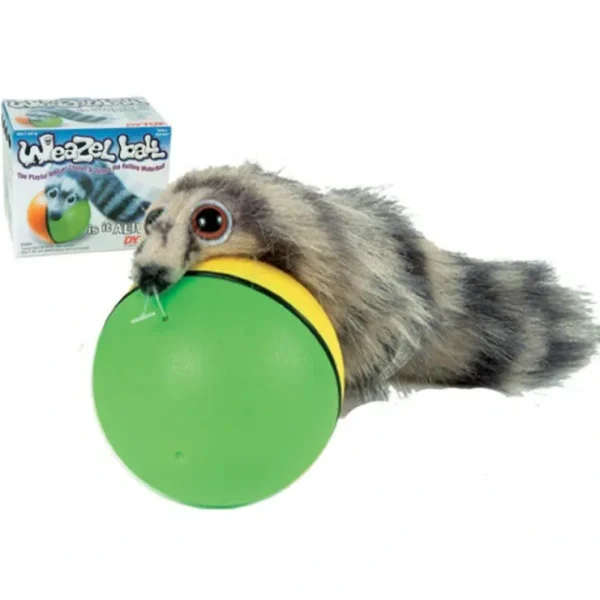 Shop 12 Furry Weazel Weasel Rolling Ball Child Kid Dog Cat Pet Toy (wholesale 1 dz) - Miniature Marvels: Airplane Models & Painted Dice Egpull