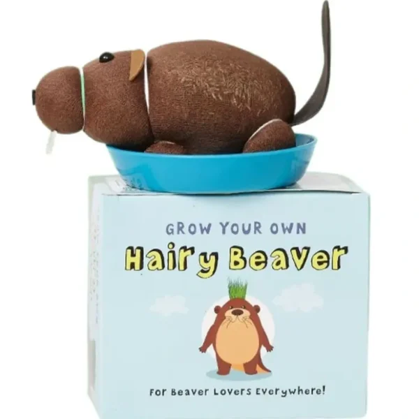 Store Grow Your own HAIRY BEAVER Chia Pet Plant - Funny Gag Novelty Home Gift - Miniature Marvels: Airplane Models & Painted Dice Egpull