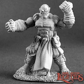 Flash Sale Gungor, Half-Orc Monk: Dark Heaven Legends RPR 02926 - Miniature Marvels: Airplane Models & Painted Dice Miniature