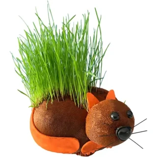 Fashion HAIRY PUSSY CAT - Grow Your Chia Pet Plant - Fun Adult Gag Prank Joke Gift - Miniature Marvels: Airplane Models & Painted Dice Egpull