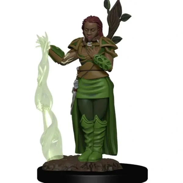 Clearance Human Female Druid: Premium Figures - D&D Icons of the Realms WZK 93009 - Miniature Marvels: Airplane Models & Painted Dice Miniature