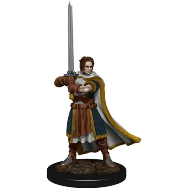 Cheap Human Fighter Male: Premium Figures - D&D Icons of the Realms WZK 93023 - Miniature Marvels: Airplane Models & Painted Dice Miniature