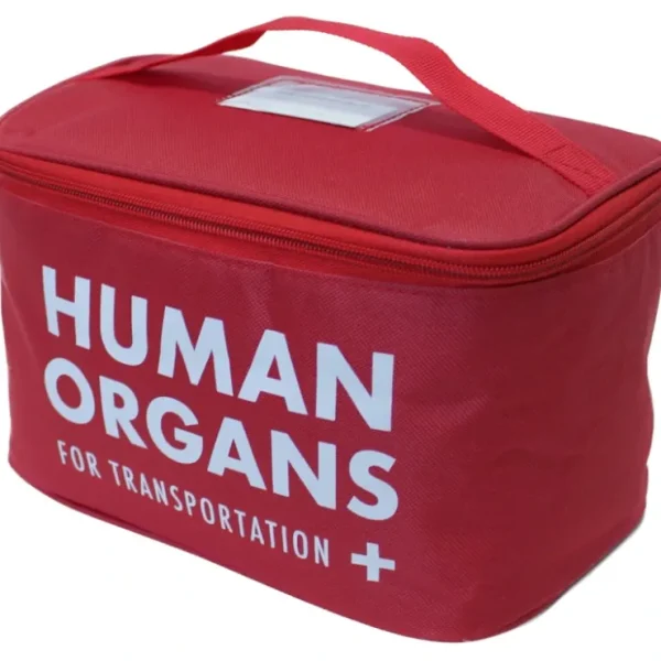 Cheap Human Organs Lunch Bag - Insulated School Cooler Gag Joke - E.M.T Medical Prop - Miniature Marvels: Airplane Models & Painted Dice Egpull