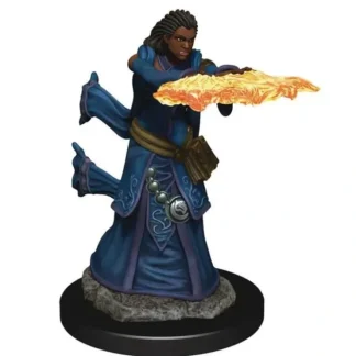 Store Human Wizard Female: Premium Figures - D&D Icons of the Realms WZK 93034 - Miniature Marvels: Airplane Models & Painted Dice Miniature