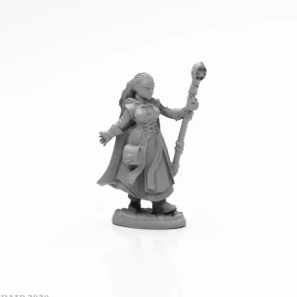 Cheap Human Wizard, Lashana: Dark Heaven Legends RPR 04007 - Miniature Marvels: Airplane Models & Painted Dice Miniature