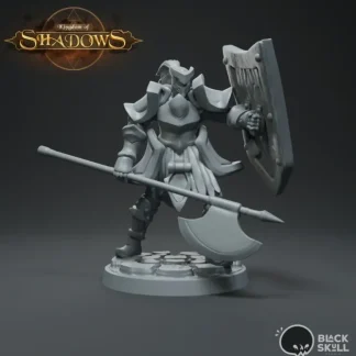 Sale Knight Bedivere Guarding - Miniature Marvels: Airplane Models & Painted Dice Miniature
