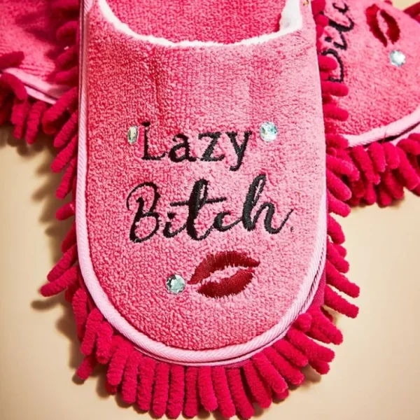 Shop LAZY BITCH Pink Slippers - Clean Floor without the Chore! Funny Gag Joke Gift - Miniature Marvels: Airplane Models & Painted Dice Egpull