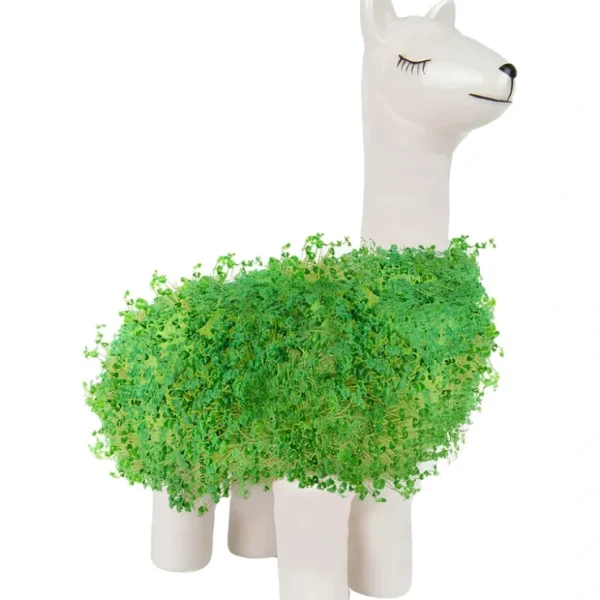 Fashion Llama Ceramic Planter - Desktop Sprouting Chia Pet Plant Pot - Gift Republic - Miniature Marvels: Airplane Models & Painted Dice Egpull