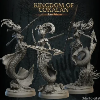 Fashion Merfolk Warriors Female Bundle - Miniature Marvels: Airplane Models & Painted Dice Miniature