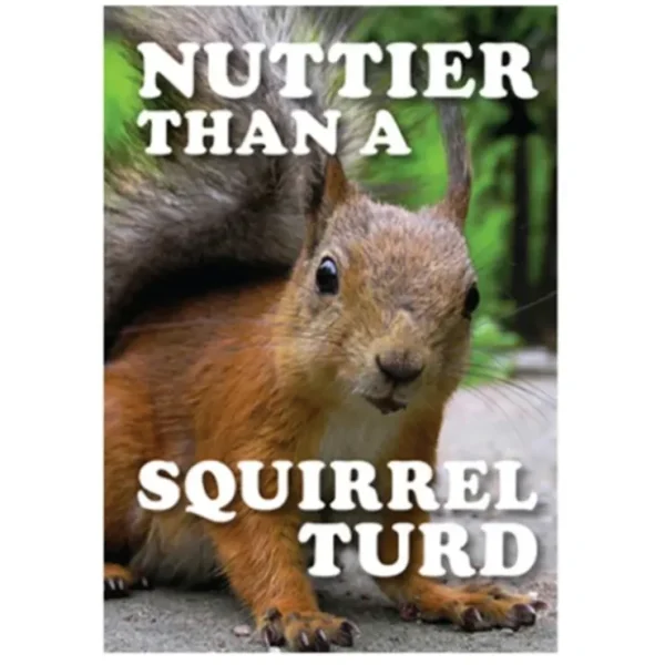 Sale Metal Tin Sign "Nuttier Than A Squirrel Turd" Funny Office Wall Decor #E-101 - Miniature Marvels: Airplane Models & Painted Dice Egpull