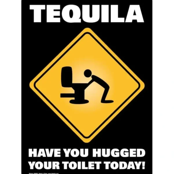 Best Metal Tin Sign "TEQUILA: Have You Hugged Your Toilet Today!" Bar Man Cave #C-101 - Miniature Marvels: Airplane Models & Painted Dice Egpull