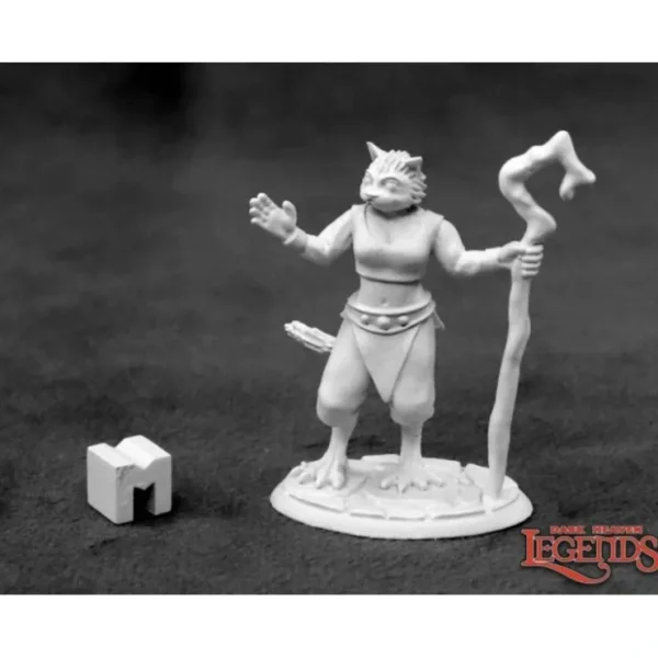 Shop Mistveil, Catfolk Sorceress: Dark Heaven Legends RPR 03927 - Miniature Marvels: Airplane Models & Painted Dice Miniature