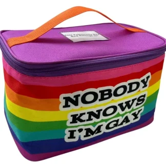 Best Sale "Nobody Knows I'm Gay" LGBT Lunch Box Bag Insulated Ice Chest Cooler Bag FUNNY! - Miniature Marvels: Airplane Models & Painted Dice Egpull