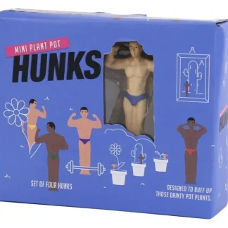 Fashion 4-pk Mini Hunk Planter Statues - Sexy Muscles Garden Plant Pot Markers - Miniature Marvels: Airplane Models & Painted Dice Egpull