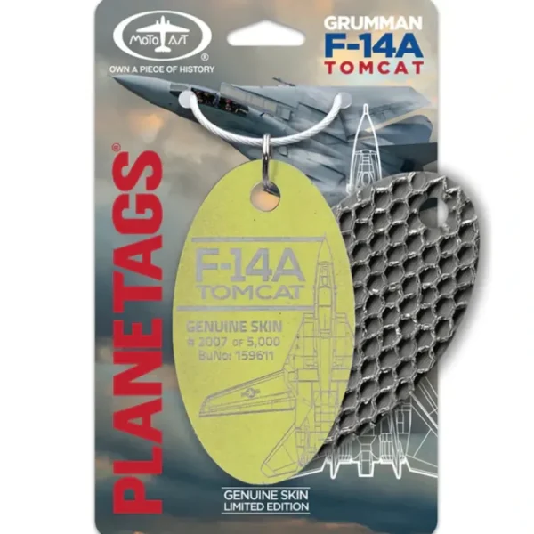 Plane Tags Grumman F-14 Tomcat 159611 (Interior Green Honeycomb) - Miniature Marvels: Airplane Models & Painted Dice* Airplane Model