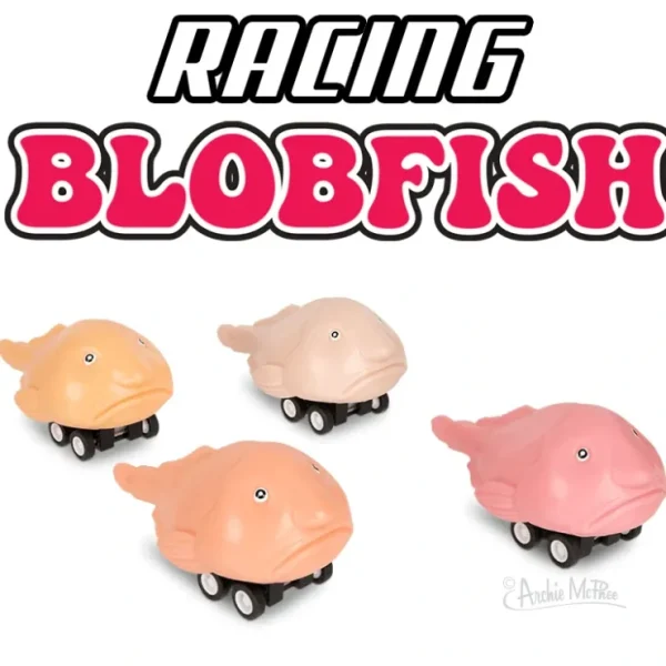 Best Racing Blobfish (set of 4) Funny Pull Back Race Fish Toys - Archie McPhee - Miniature Marvels: Airplane Models & Painted Dice Egpull