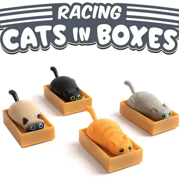 Flash Sale Racing Cats in Boxes (set of 4) Funny Pull Back Kitty Cat Toys - Archie McPhee - Miniature Marvels: Airplane Models & Painted Dice Egpull