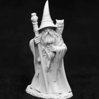 Online Reaper Anuminar Winterbeard, Wizard 03953 - Miniature Marvels: Airplane Models & Painted Dice Reaper Miniatures
