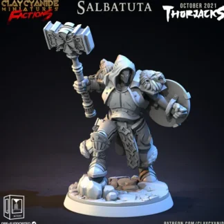 Store Salbatuta - Miniature Marvels: Airplane Models & Painted Dice Miniature