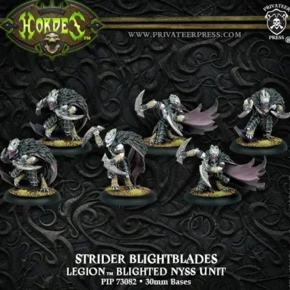 Best Sale Strider Blightblades/Rangers: Legion of Everblight- Blighted Nyss Unit PIP 73082 - Miniature Marvels: Airplane Models & Painted Dice Miniature