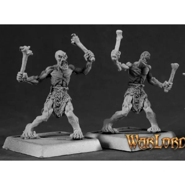 Best Warlord, Necropolis, Warlord Army Packs RPR 06205 - Miniature Marvels: Airplane Models & Painted Dice Miniature